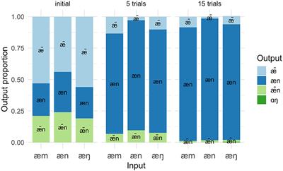 Modeling the consequences of an L1 grammar for L2 production: simulations, variation, and predictions